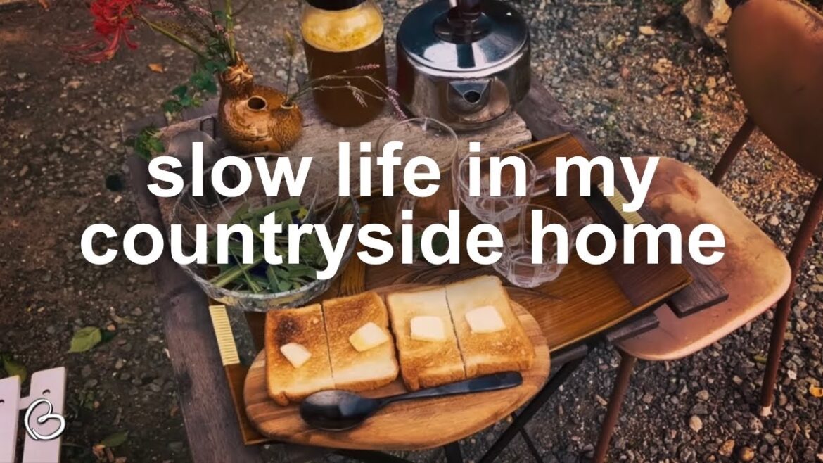 Japanese countryside foreigner life VLOG: slow home life weekend, language learning, house projects