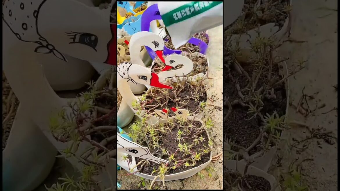 Achieve inner peace and stress relief with these flower gardening tips at home Ep 47