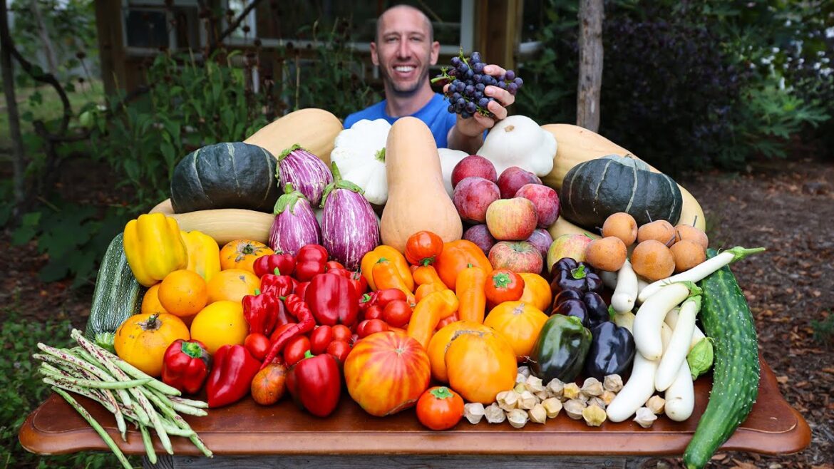 James Prigioni: Big October Garden Harvest! Local Food at its Best! 🍅🌶️🥒 Big October Garden Harvest! Local Food at its Best! 🍅🌶️🥒