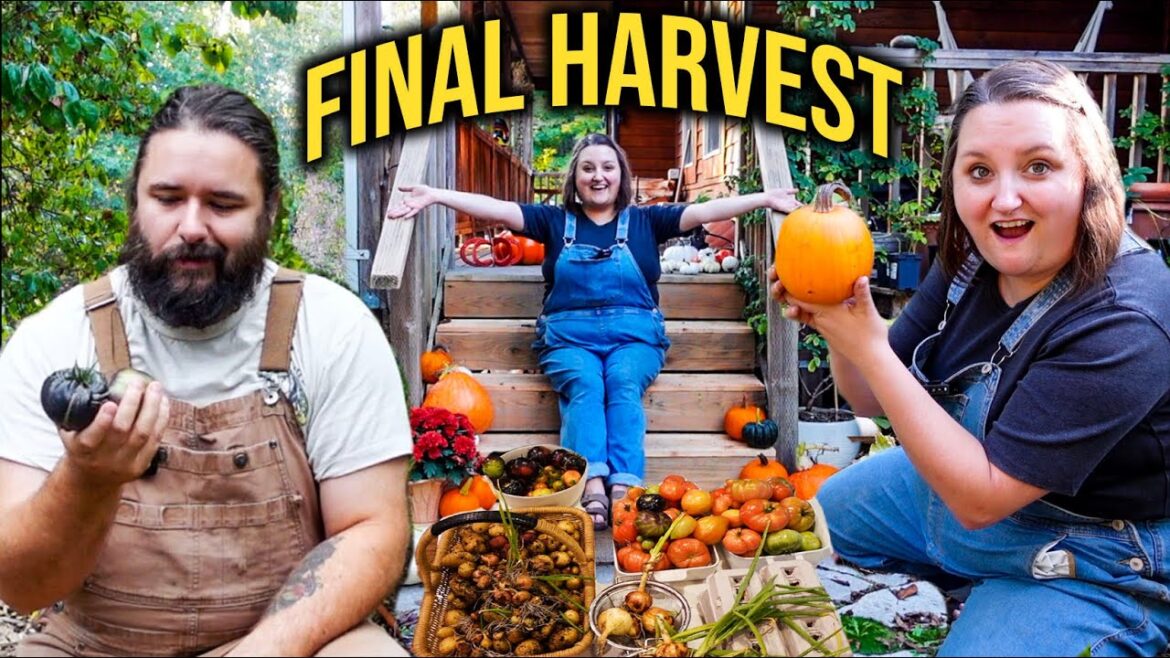 FINAL GARDEN HARVEST | HOMESTEAD DAY IN THE LIFE FINAL GARDEN HARVEST | HOMESTEAD DAY IN THE LIFE