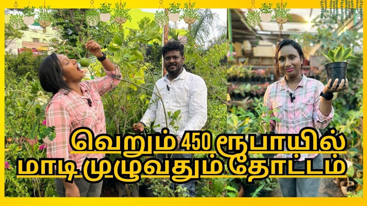 "Budget Gardening: Create a Thrifty Nursery - Maadi Thottam  & Flower Beds @ ₹5" & ₹100 | PART 2