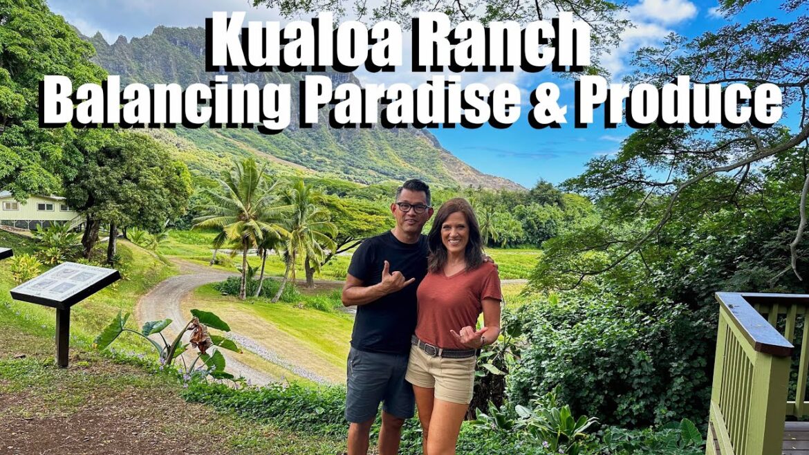 CaliKim: Kualoa Ranch: Balancing Paradise & Produce-Responsible Farming in Hawaii/Show the World Your Garden Kualoa Ranch: Balancing Paradise & Produce-Responsible Farming in Hawaii/Show the World Your Garden