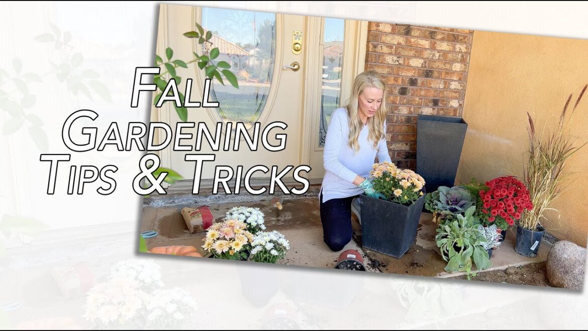 Fall Gardening Tips and Tricks