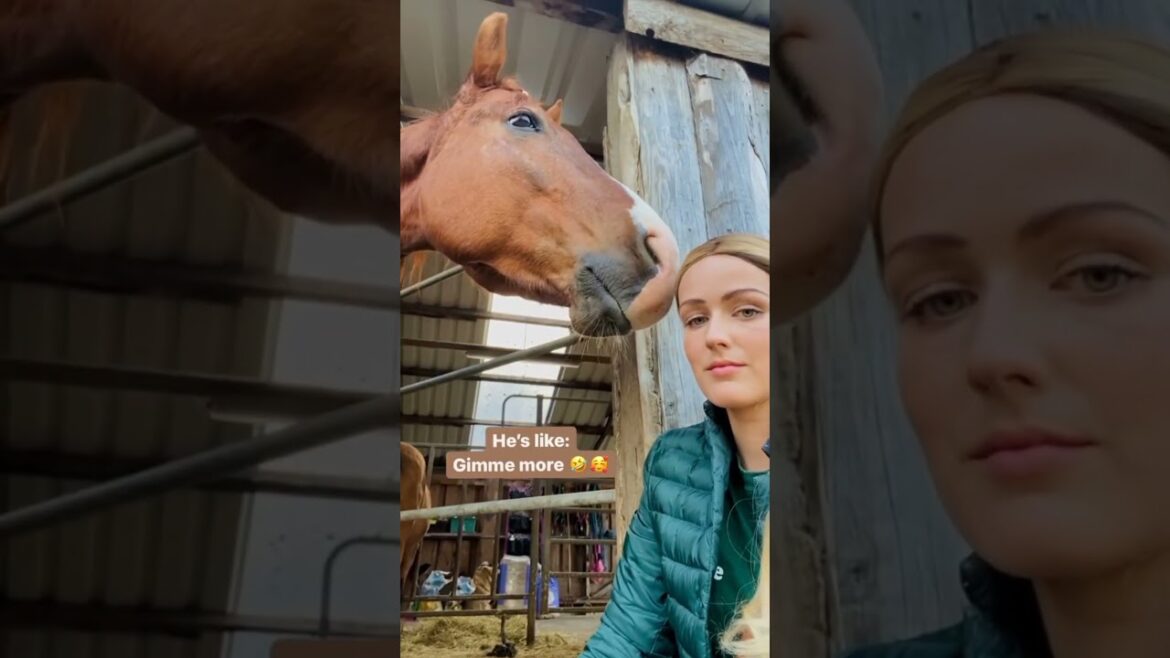 #agriculture #youtubeshorts #farming #noamancreation #farmforsale #agriculture #youtubeshorts #farming #noamancreation #farmforsale