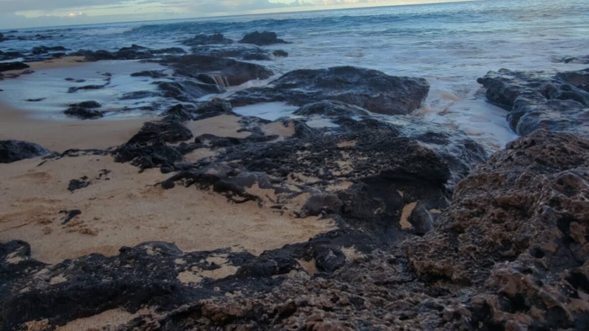 Hawaii Live Ocean Waves Sound Beach
