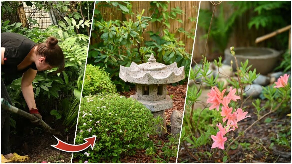 I've made the perfect garden for a "lazy" gardener/ DIY japanese garden in cold climate