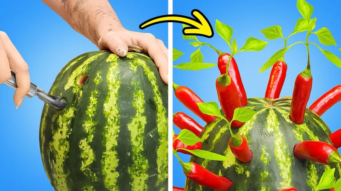 Incredible Gardening Hacks for Gorgeous Plants ๐ธ๐ฑ Incredible Gardening Hacks for Gorgeous Plants ๐ธ๐ฑ