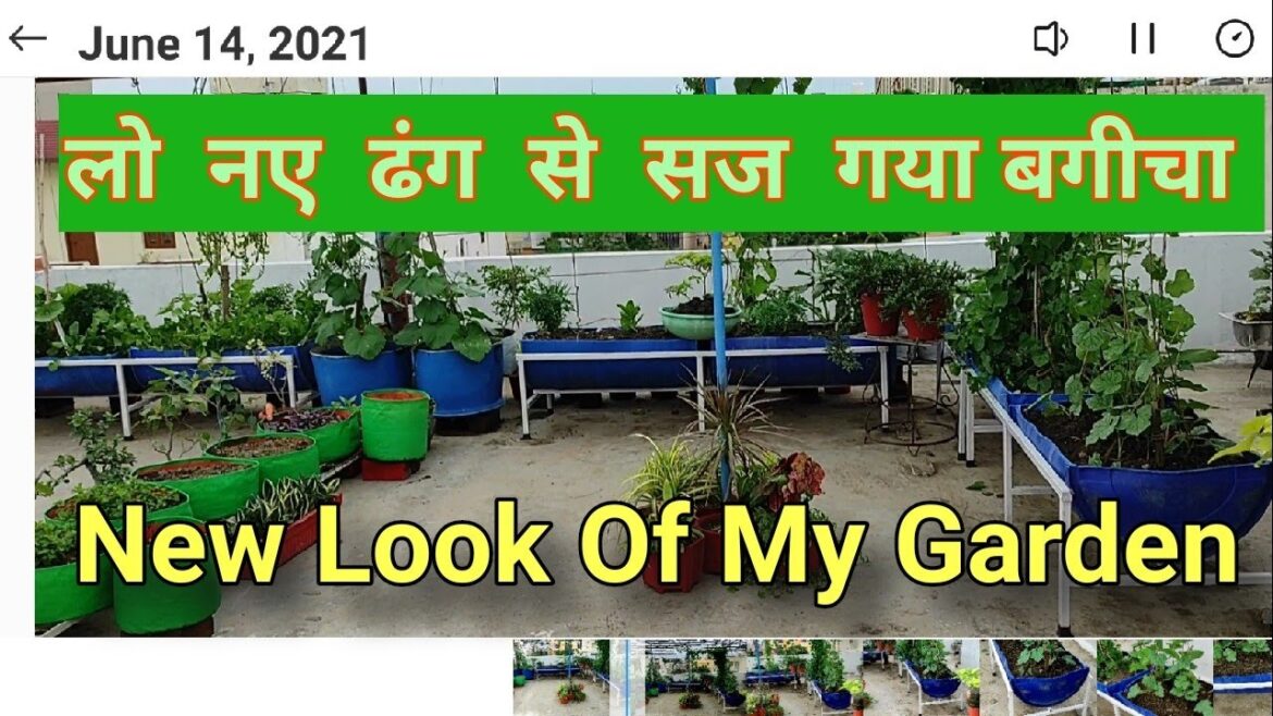 Garden makeover New look Of Terrace Garden .How we Make Container Garden New Pot Stend ni