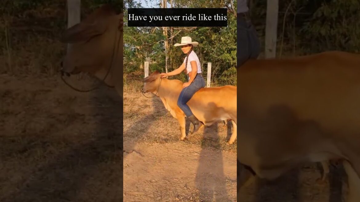 #agriculture #youtubeshorts #farming #noamancreation #farmforsale #agriculture #youtubeshorts #farming #noamancreation #farmforsale