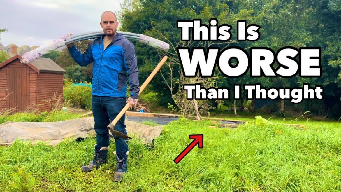 Allotment Reveal After Six Weeks Away NIGHTMARE – Gardening with Joe Mills Allotment Reveal After Six Weeks Away NIGHTMARE - Gardening with Joe Mills
