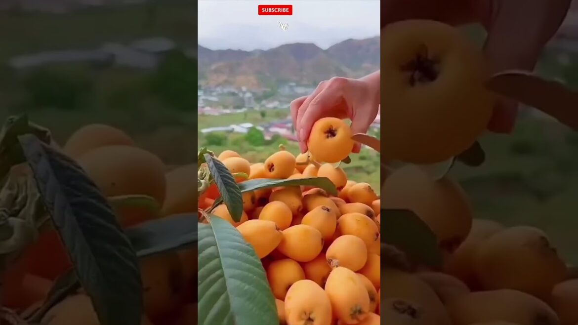 Farm Fresh Ninja Fruit Cutting!! #160 #shorts #shortsfeed #viral #vegetables #fruits 🥝🍓🍎🍒🍐🍉