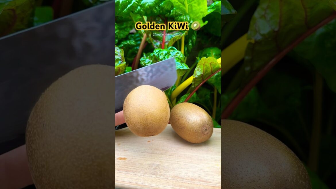 Golden KiWi 🥝😍 #shorts #fruit #satisfying #fruitcutting #kiwi #food #garden #short