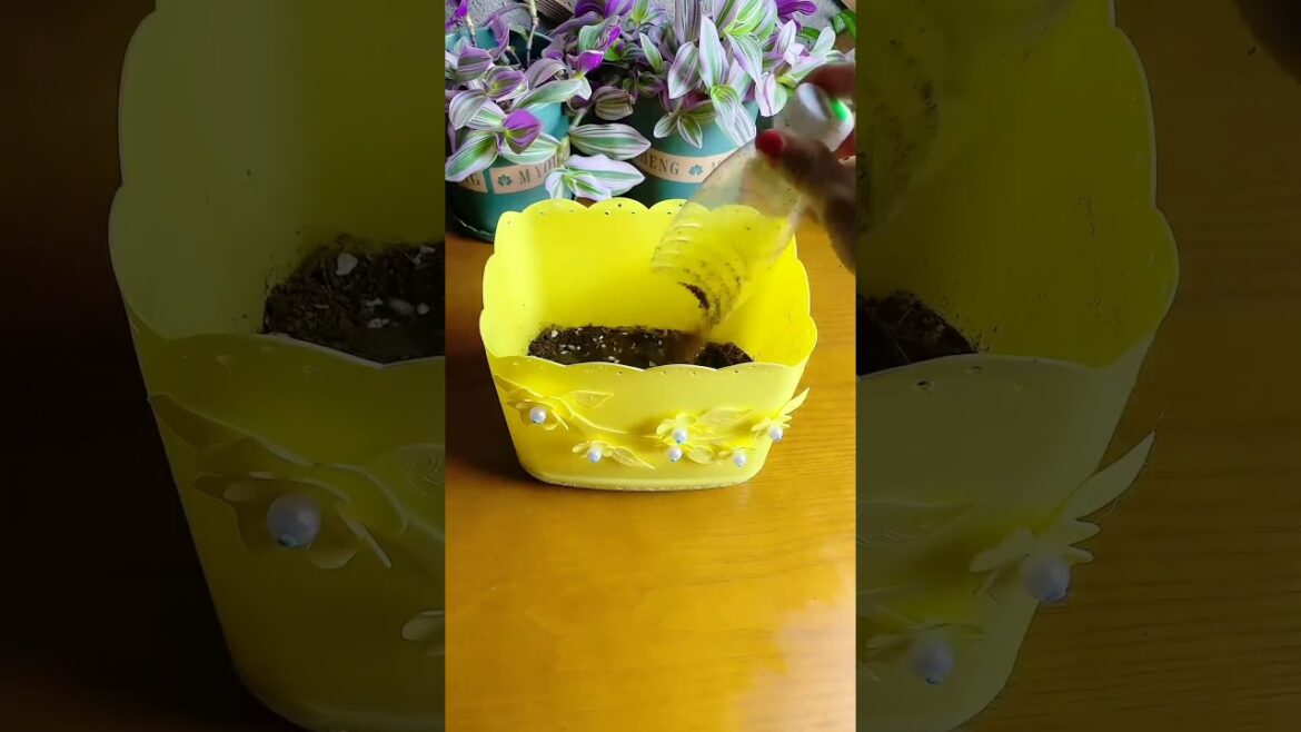 Achieve inner peace and stress relief with these flower gardening tips at home Ep 46