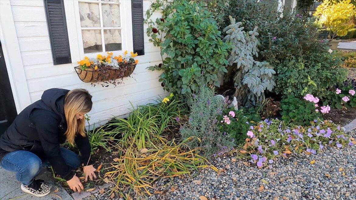 Garden Answer: Chicken Coop Flower Bed Maintenance: Pruning, Transplanting & Fall Plants! ✂️🌿🍂 // Garden Answer Chicken Coop Flower Bed Maintenance: Pruning, Transplanting & Fall Plants! ✂️🌿🍂 // Garden Answer
