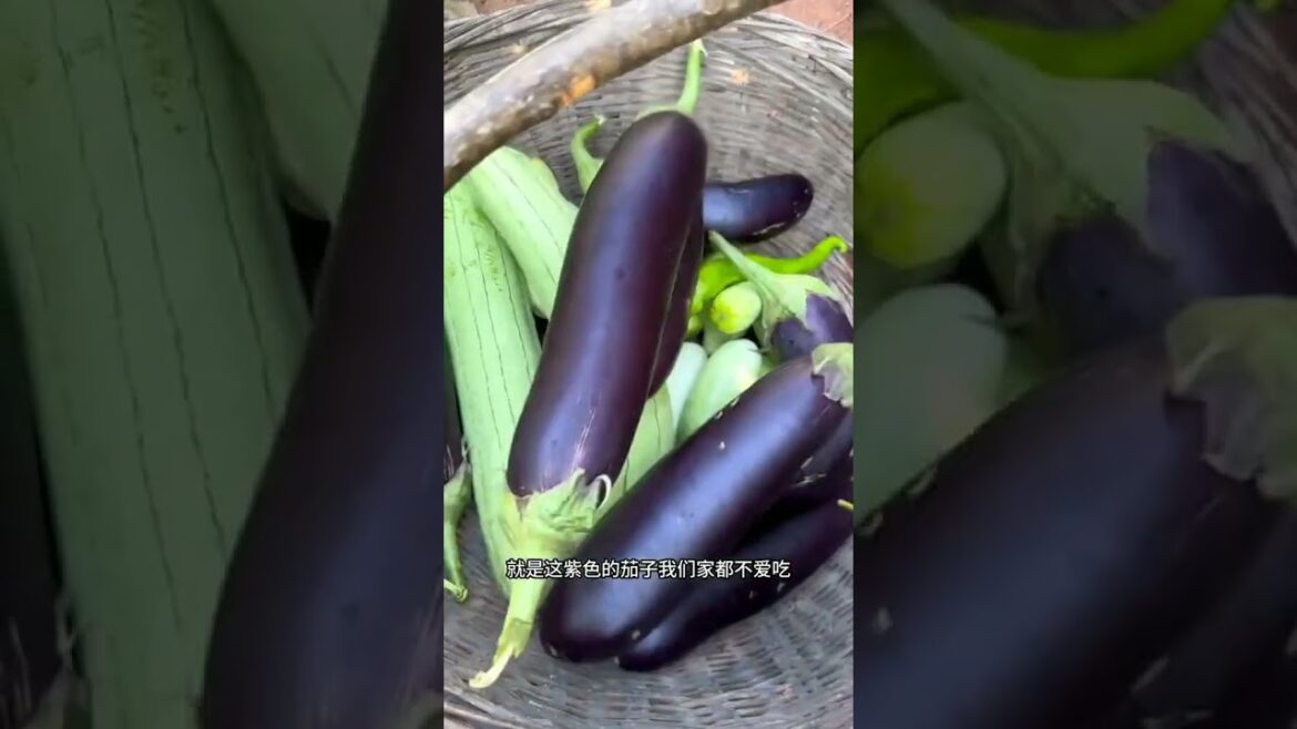 Beautiful Nature Garden Plan Natural life Style Beautiful landscapes