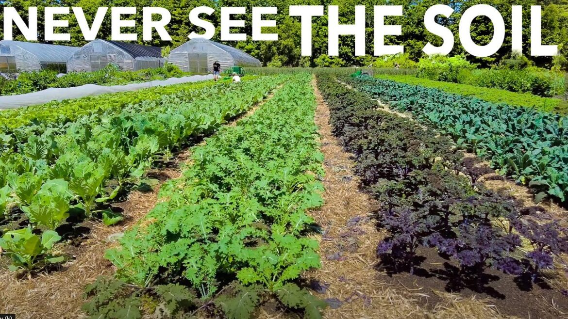 Growing Healthy Soil (and Keeping it That Way) at Frith Farm Growing Healthy Soil (and Keeping it That Way) at Frith Farm