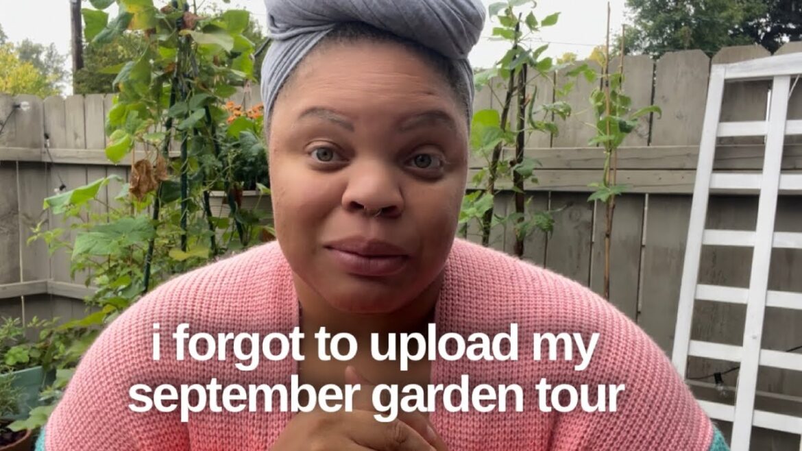 September garden tour | lemon tree update | container gardening | #JasmineInThaGarden