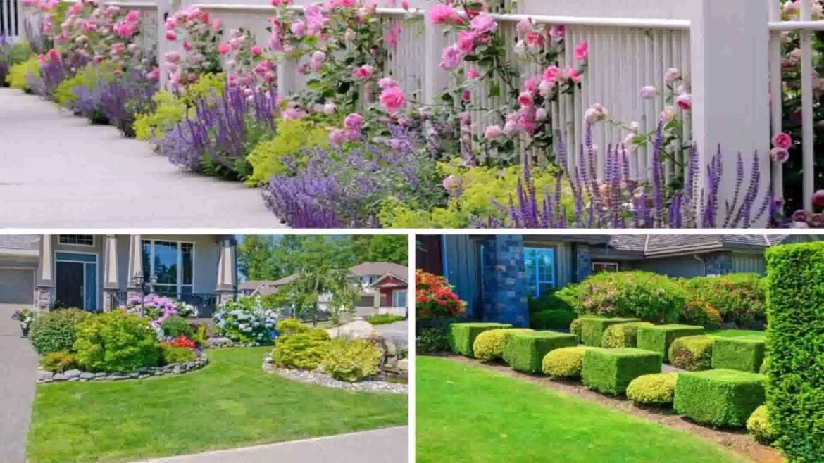 Front Yard Landscaping Ideas South Florida