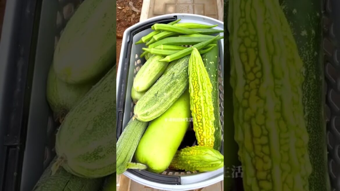 Beautiful Nature Garden Plan Natural life Style Beautiful landscapes