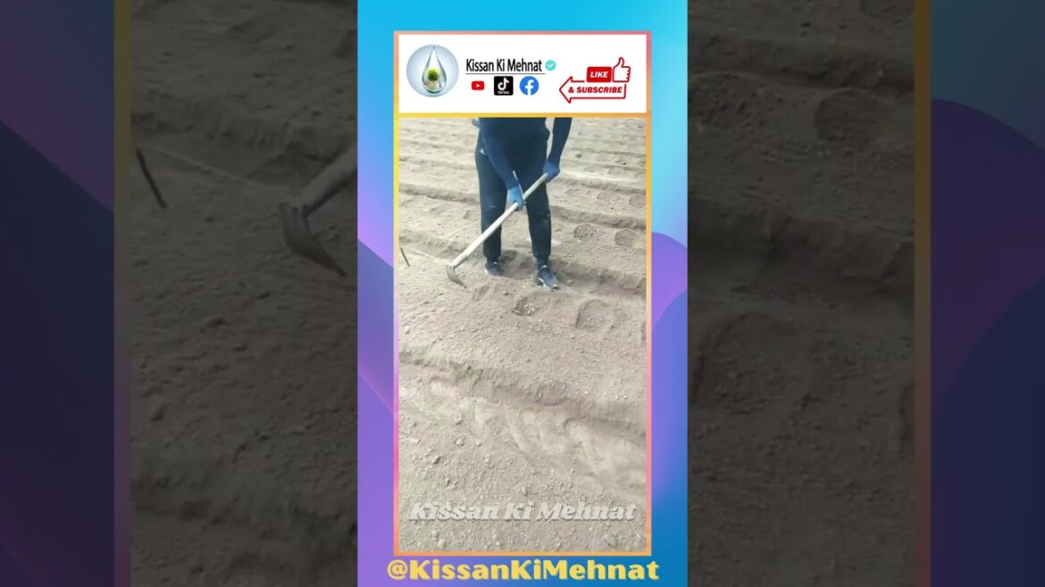 Agriculture Tool | Tractor | Soil Cultivator - Hoe Long Handle Grass Flower Backyard Gardening Tool