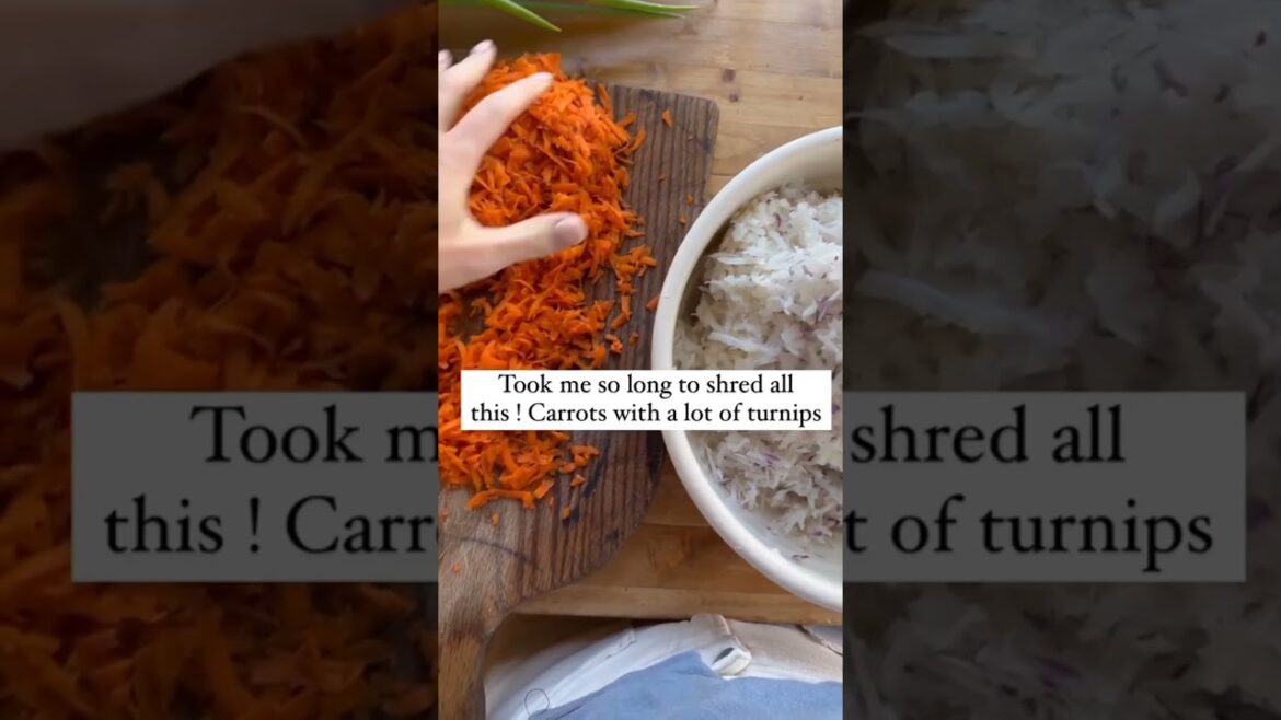 #agriculture #youtubeshorts #farming #noamancreation #farmforsale #agriculture #youtubeshorts #farming #noamancreation #farmforsale