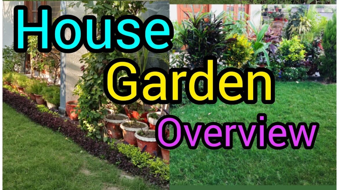 October garden overview || house garden update #gardening ||small garden design for your home
