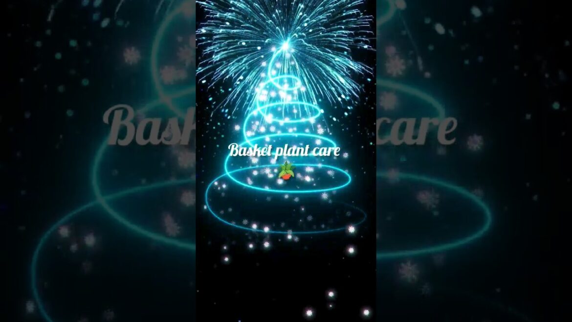 “Basket Plant Bliss: Unveiling the Secrets to Lush Callisia Fragrans Care!” #tips #shorts "Basket Plant Bliss: Unveiling the Secrets to Lush Callisia Fragrans Care!" #tips #shorts