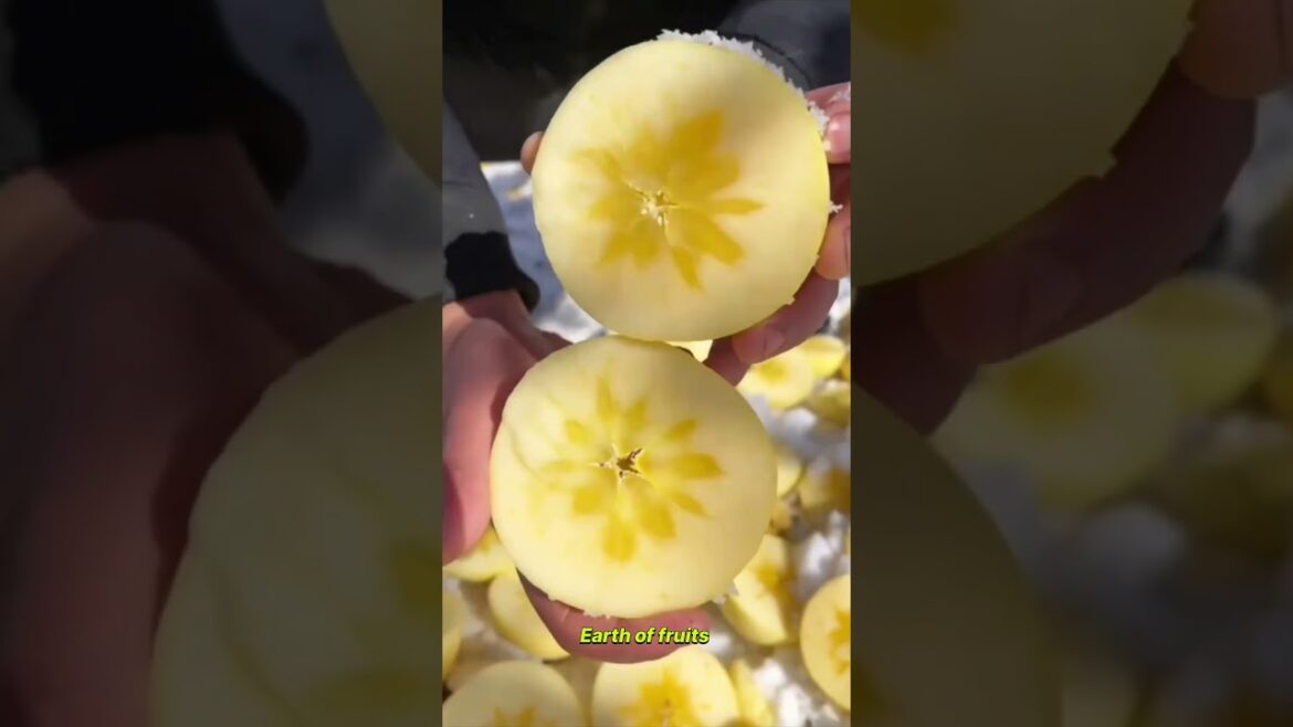 Farm Fresh Ninja Fruit Cutting!! #163 #shorts #shortsfeed #viral #vegetables #fruits 🥝🍓🍎🍒🍐🍉