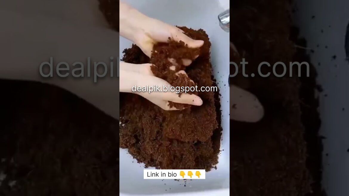 Ugaoo Cocopeat Block: A Gardener's Secret for Thriving Home Garden Plants #shorts #viral #gardening