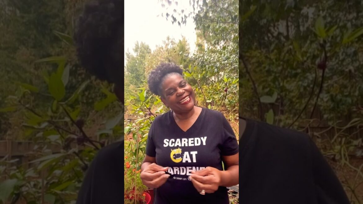 BEST Vegetables to grow in containers #garden #gardeningtips #shorts