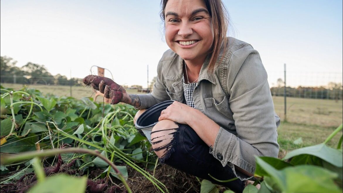 Like a Critical Visitor is Coming (Garden inventory and to-do list) | VLOG