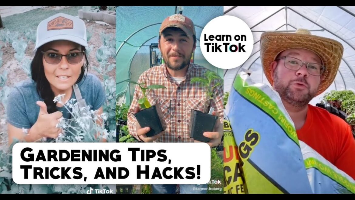 Gardening Tips, Tricks, & Hacks - Gardening TikTok