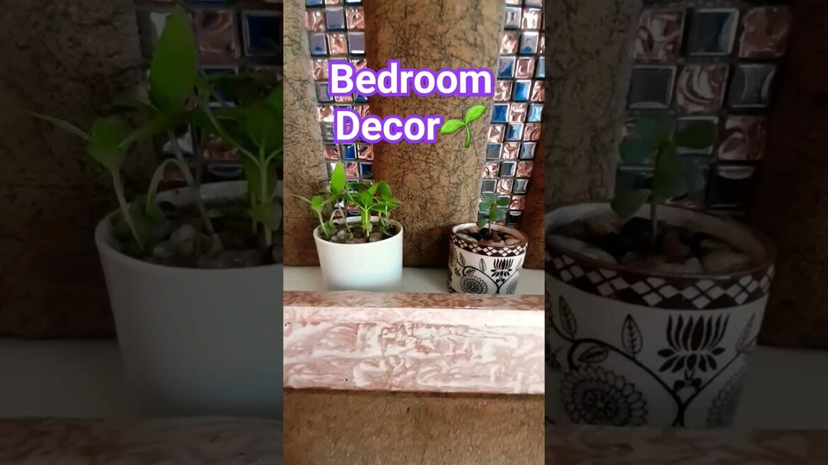 Home Decor | Bedroom Decorating Ideas | Best Out Of Waste | Container Gardening | #shorts