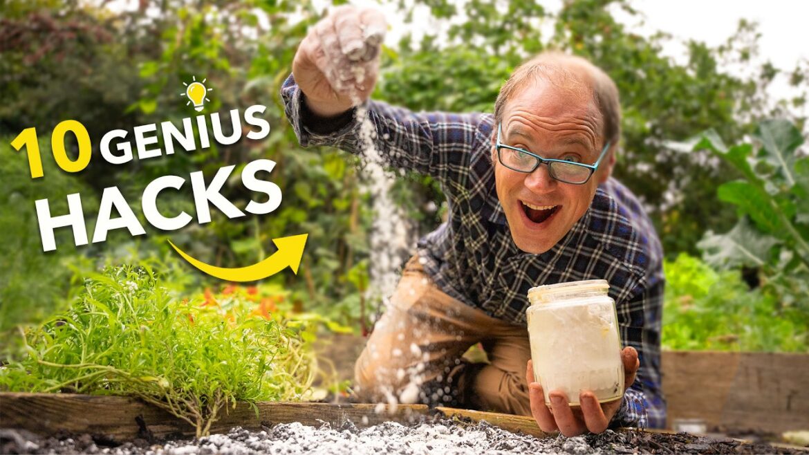 10 Simple Garden Hacks (Beginner to Pro)