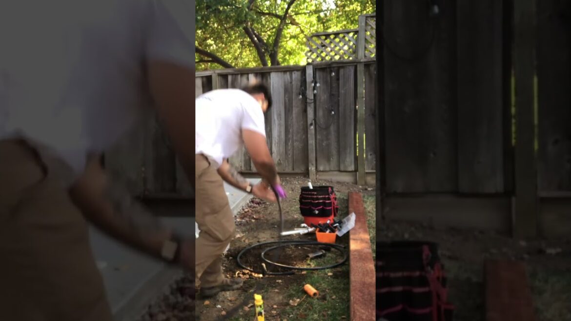 Pressurized Wood Landscaping Transformation! Great Finish! ๐ Pressurized Wood Landscaping Transformation! Great Finish! ๐