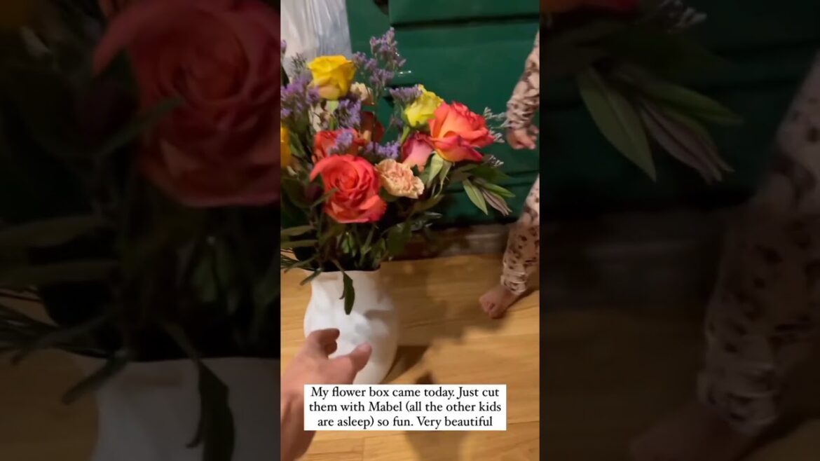 #agriculture #youtubeshorts #farming #noamancreation #farmforsale #agriculture #youtubeshorts #farming #noamancreation #farmforsale