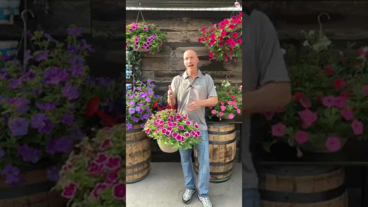 Watering Using the 24 hour Mentality Watering Using the 24 hour Mentality