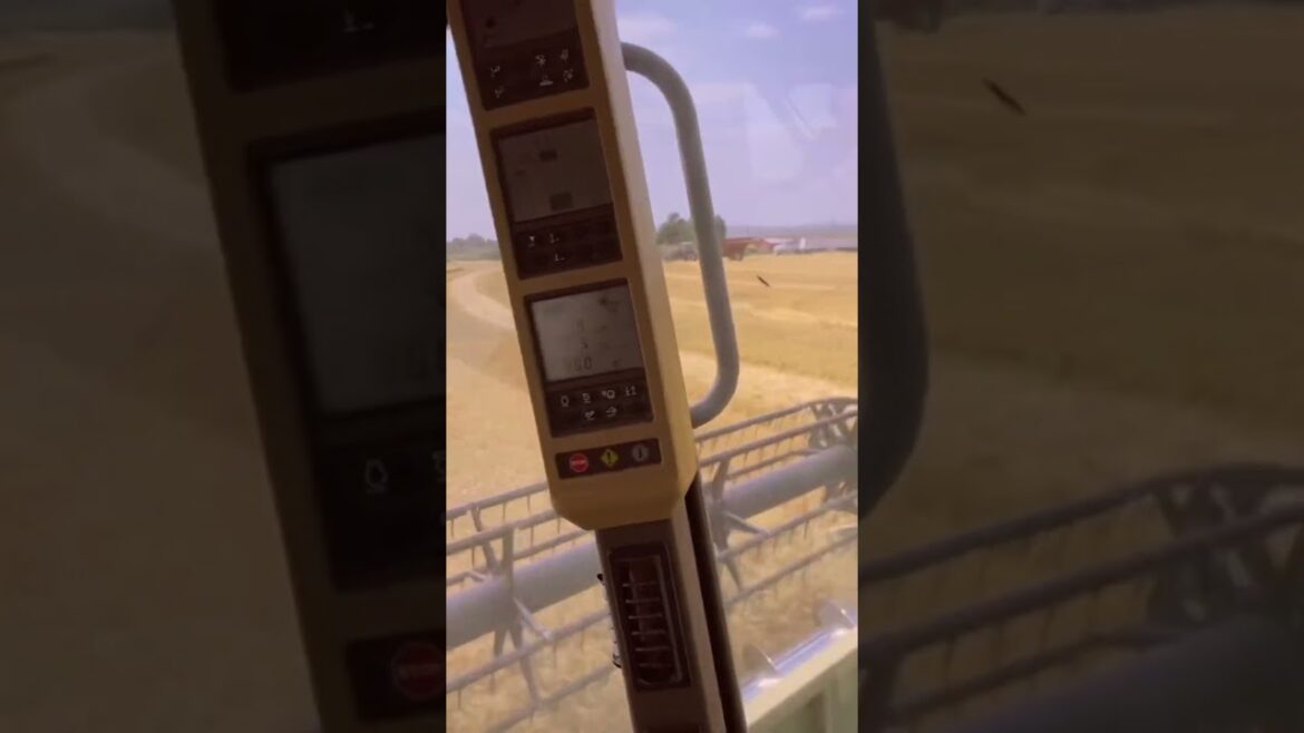 #agriculture #youtubeshorts #farming #noamancreation #farmforsale