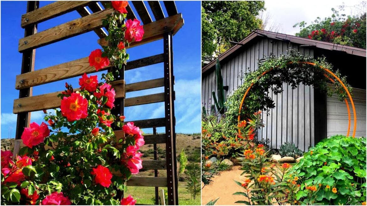 200 DIY Garden Trellis Project Ideas! Garden Inspirations!