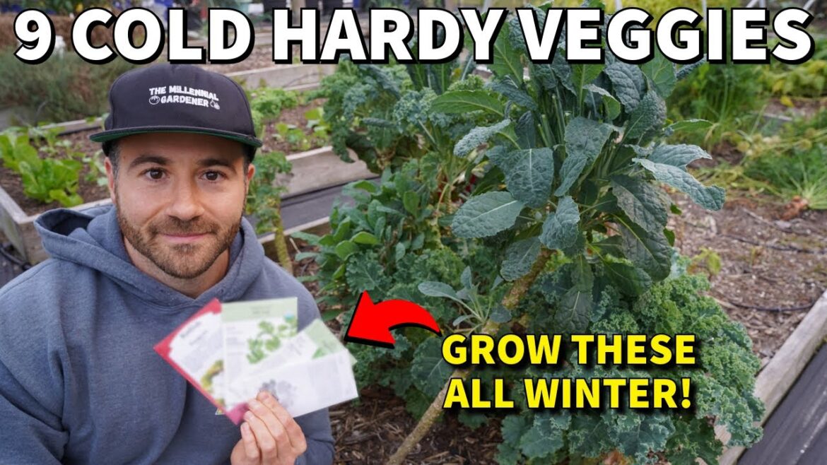 9 Veggies To Plant NOW For Big Harvests All Winter 9 Veggies To Plant NOW For Big Harvests All Winter