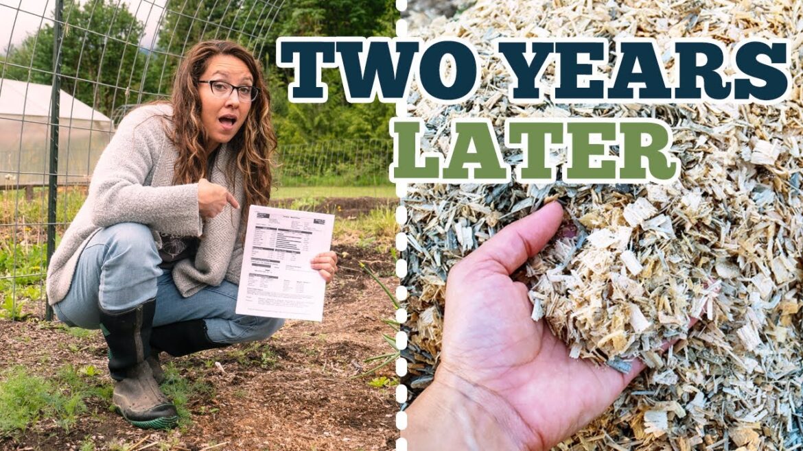 We Covered 1/2 the Garden in Wood Chips | 2 Years Later Soil Tests Reveals the Impact We Covered 1/2 the Garden in Wood Chips | 2 Years Later Soil Tests Reveals the Impact
