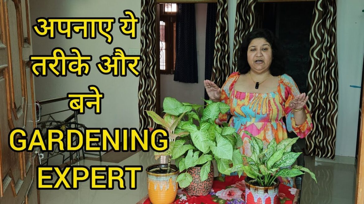 अपनाए ये TIPS और बने GARDENING में EXPERT || DO THESE THINGS TO BECOME A GARDENING EXPERT
