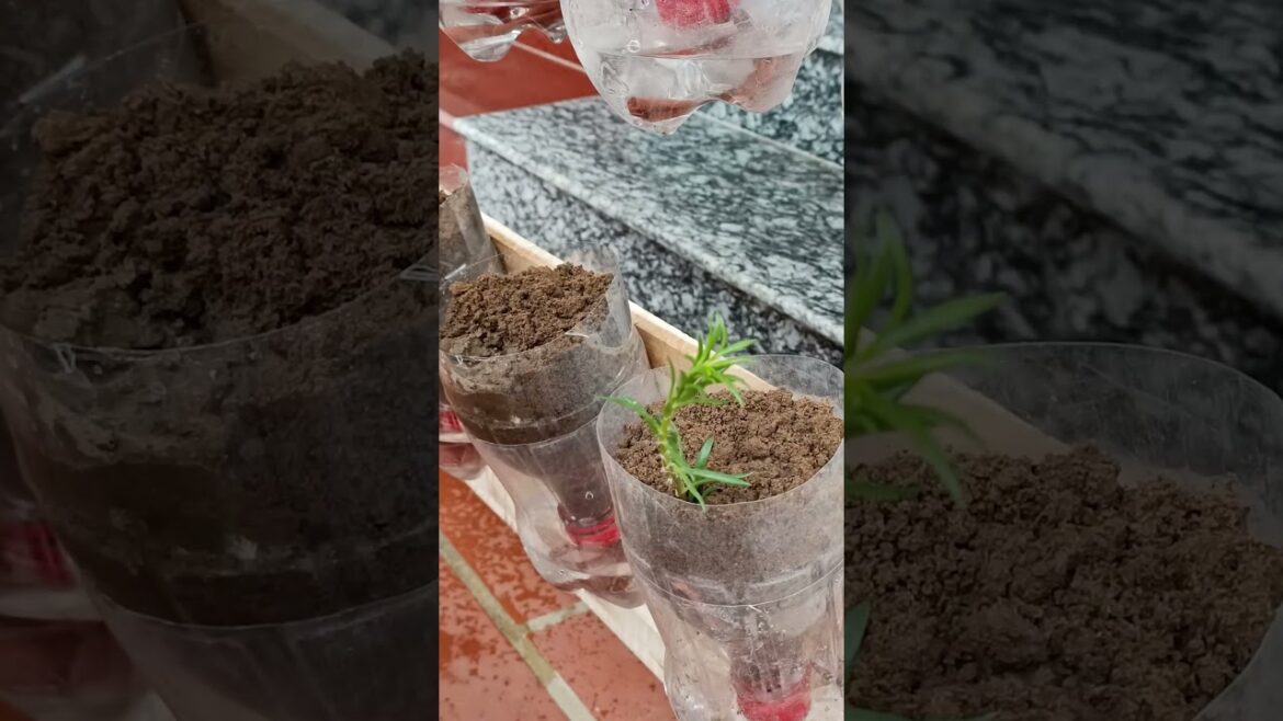 Amazing Vertical Garden Ideas For Your Home, Automatic watering