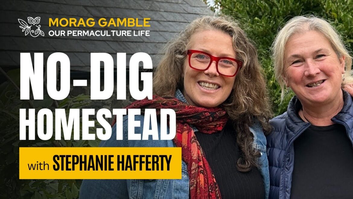 The No-Dig Homestead Tour - Stephanie Hafferty's Garden