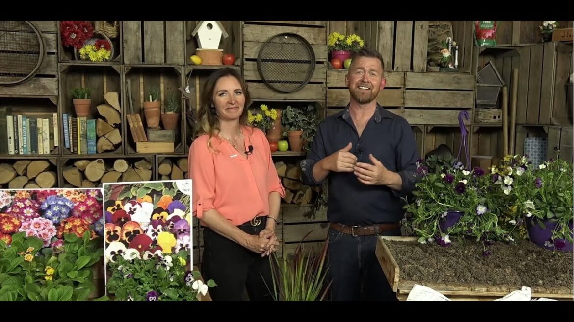 You Garden Live Shopping - Thursday 26th October - 10:00