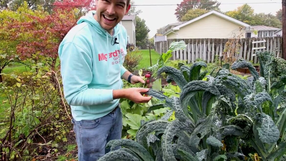 Incredible Fall / October Garden Tour!