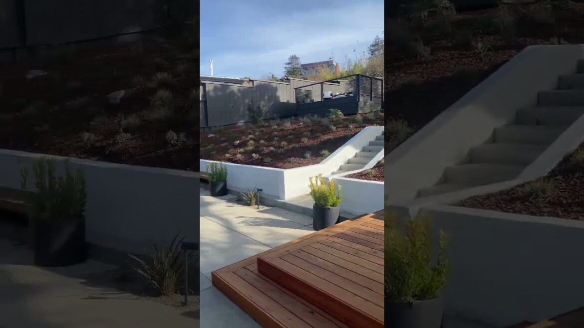 ✨✨✨ #gardening #backyard #garden #landscaping