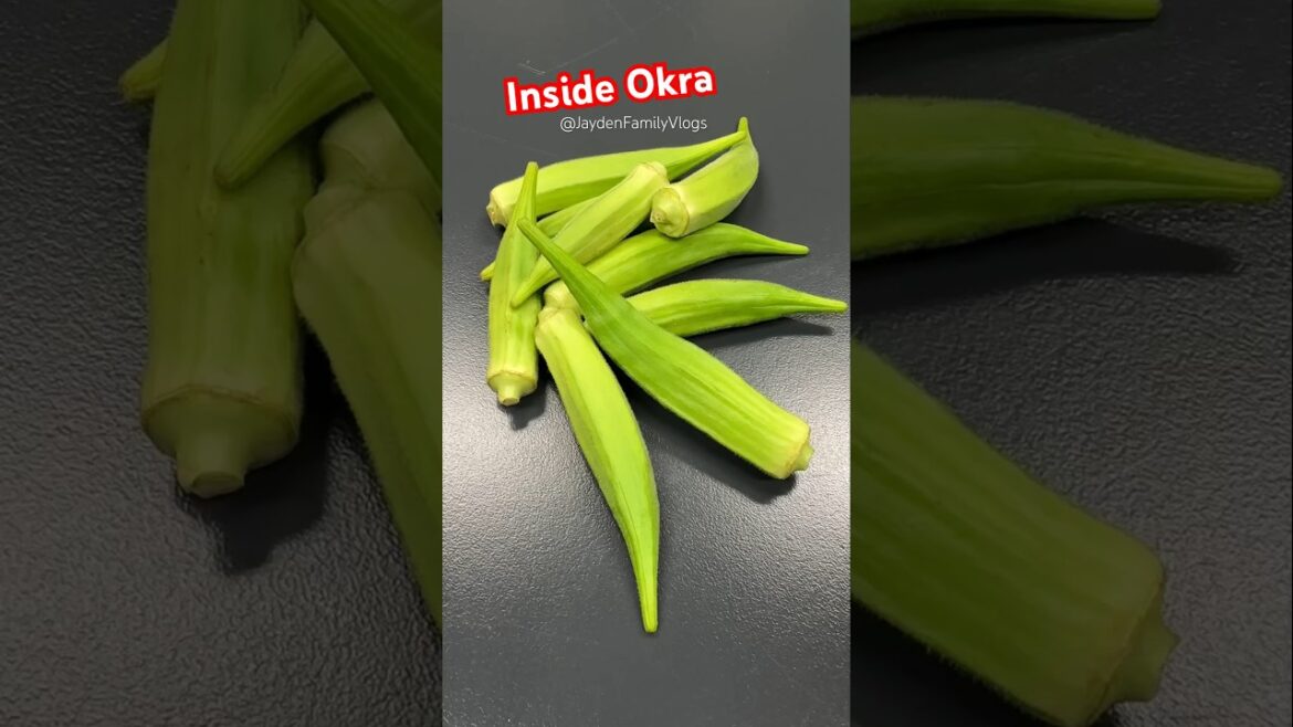 Okra ?!? 😱 #shorts #satisfying #vegetables #garden #food #fyp #okra