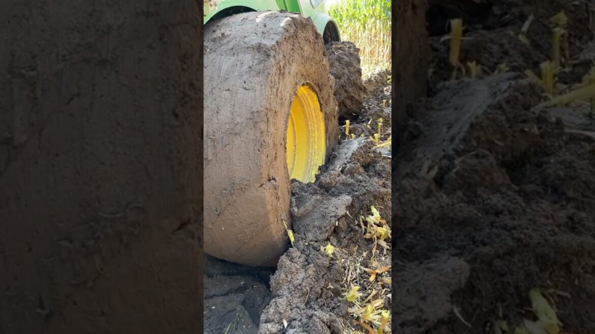 #agriculture #youtubeshorts #farming #noamancreation #farmforsale