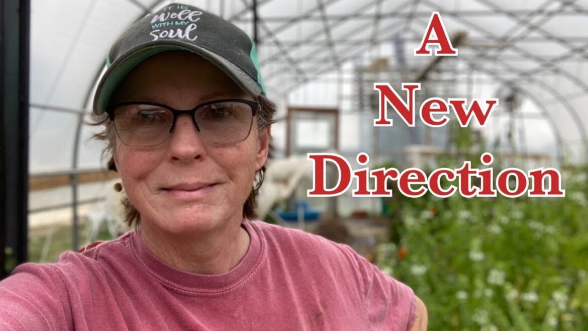 A decision had to be made. A decision had to be made.